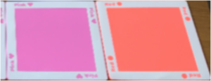 2 coloured mats used to control Indi